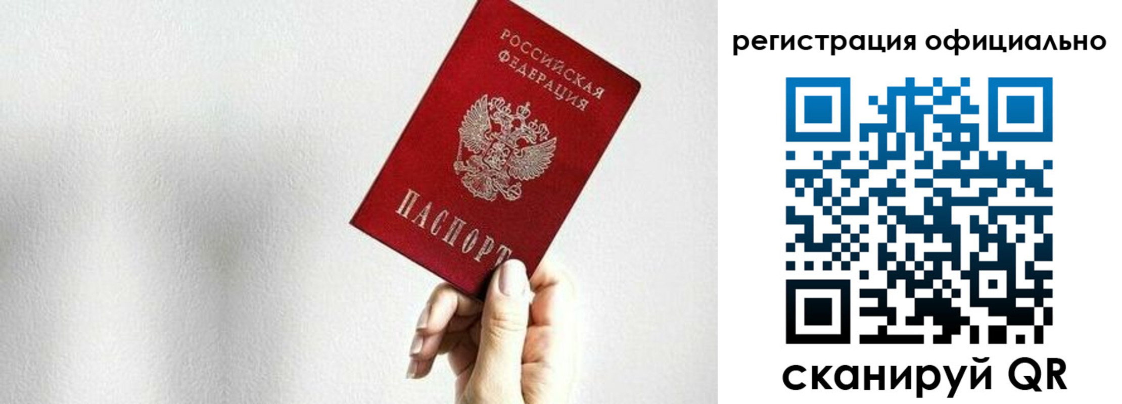 прописка поиск в Мончегорске